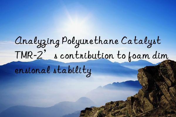 Analyzing Polyurethane Catalyst TMR-2’s contribution to foam dimensional stability