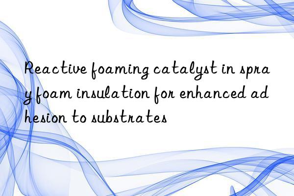 Reactive foaming catalyst in spray foam insulation for enhanced adhesion to substrates