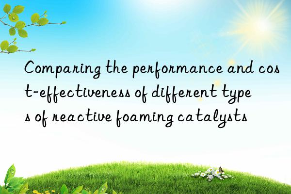 Comparing the performance and cost-effectiveness of different types of reactive foaming catalysts