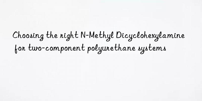 Choosing the right N-Methyl Dicyclohexylamine for two-component polyurethane systems