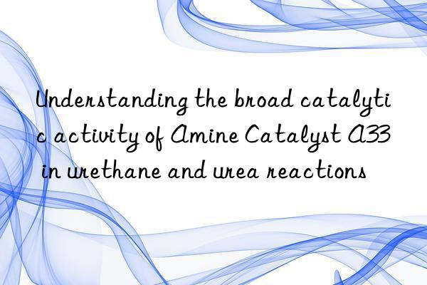 Understanding the broad catalytic activity of Amine Catalyst A33 in urethane and urea reactions