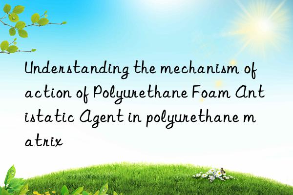 Understanding the mechanism of action of Polyurethane Foam Antistatic Agent in polyurethane matrix