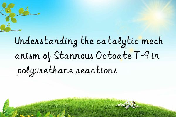 Understanding the catalytic mechanism of Stannous Octoate T-9 in polyurethane reactions