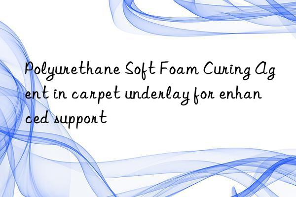 Polyurethane Soft Foam Curing Agent in carpet underlay for enhanced support