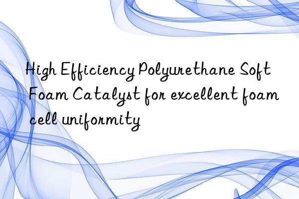 High Efficiency Polyurethane Soft Foam Catalyst for excellent foam cell uniformity