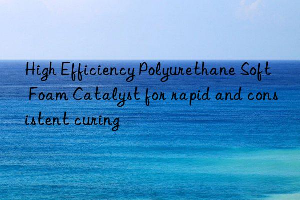High Efficiency Polyurethane Soft Foam Catalyst for rapid and consistent curing