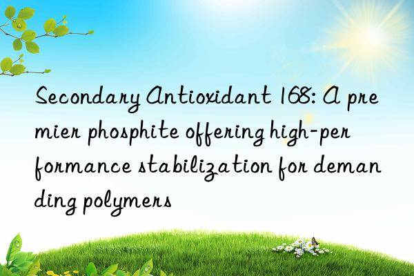 Secondary Antioxidant 168: A premier phosphite offering high-performance stabilization for demanding polymers