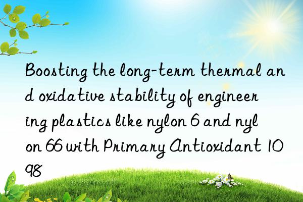 Boosting the long-term thermal and oxidative stability of engineering plastics like nylon 6 and nylon 66 with Primary Antioxidant 1098
