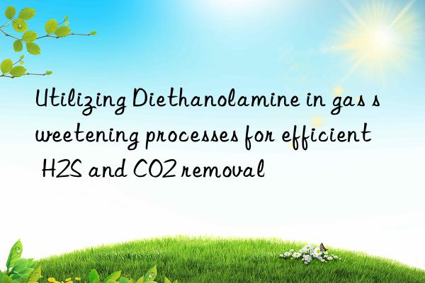 Utilizing Diethanolamine in gas sweetening processes for efficient H2S and CO2 removal