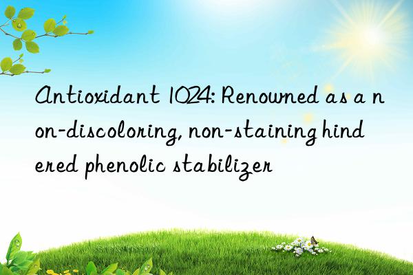 Antioxidant 1024: Renowned as a non-discoloring, non-staining hindered phenolic stabilizer