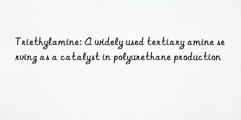 Triethylamine: A widely used tertiary amine serving as a catalyst in polyurethane production