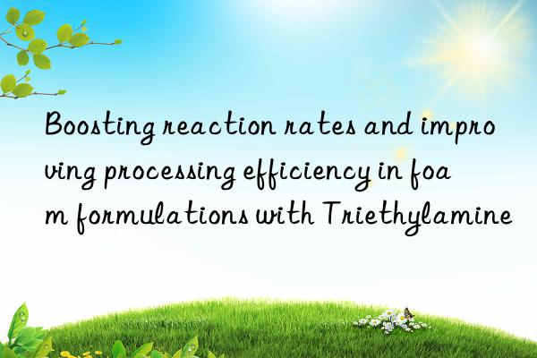 Boosting reaction rates and improving processing efficiency in foam formulations with Triethylamine