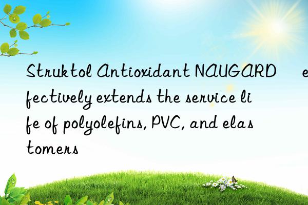 Struktol Antioxidant NAUGARD® effectively extends the service life of polyolefins, PVC, and elastomers