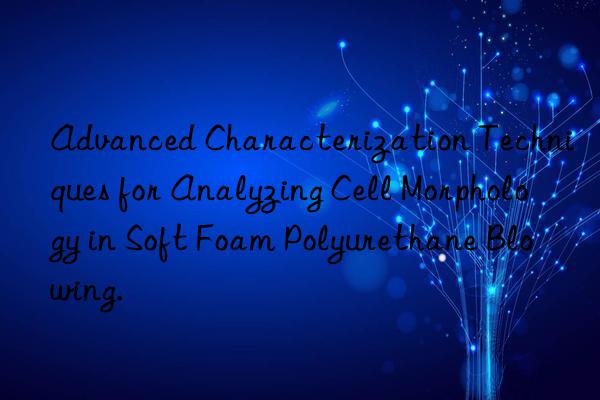 Advanced Characterization Techniques for Analyzing Cell Morphology in Soft Foam Polyurethane Blowing.