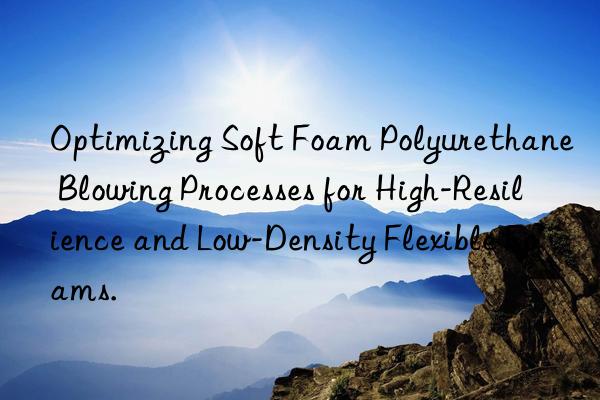 Optimizing Soft Foam Polyurethane Blowing Processes for High-Resilience and Low-Density Flexible Foams.