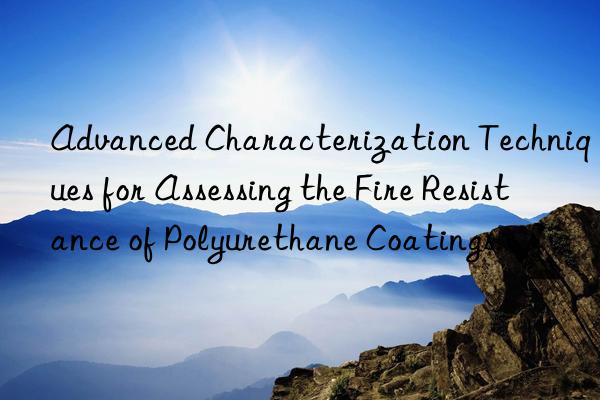 Advanced Characterization Techniques for Assessing the Fire Resistance of Polyurethane Coatings.