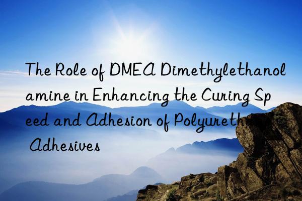 The Role of DMEA Dimethylethanolamine in Enhancing the Curing Speed and Adhesion of Polyurethane Adhesives
