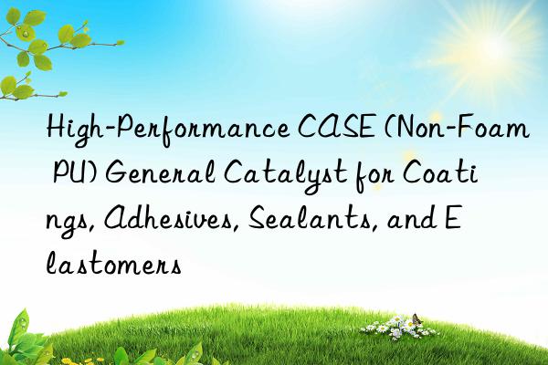 High-Performance CASE (Non-Foam PU) General Catalyst for Coatings, Adhesives, Sealants, and Elastomers