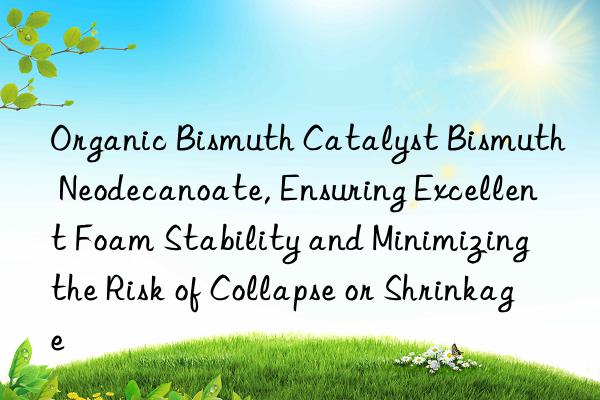 Organic Bismuth Catalyst Bismuth Neodecanoate, Ensuring Excellent Foam Stability and Minimizing the Risk of Collapse or Shrinkage