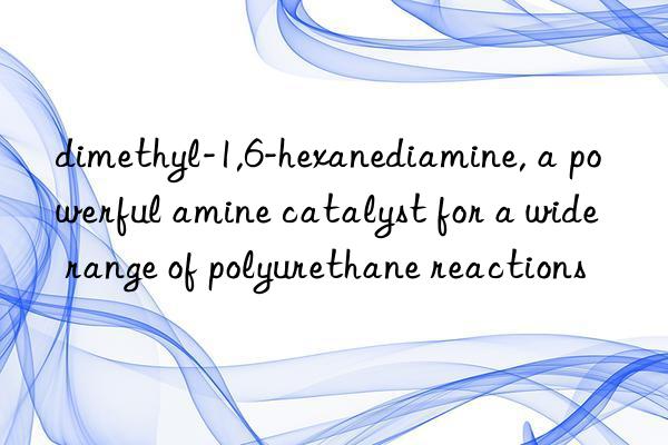 dimethyl-1,6-hexanediamine, a powerful amine catalyst for a wide range of polyurethane reactions