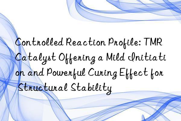 Controlled Reaction Profile: TMR Catalyst Offering a Mild Initiation and Powerful Curing Effect for Structural Stability