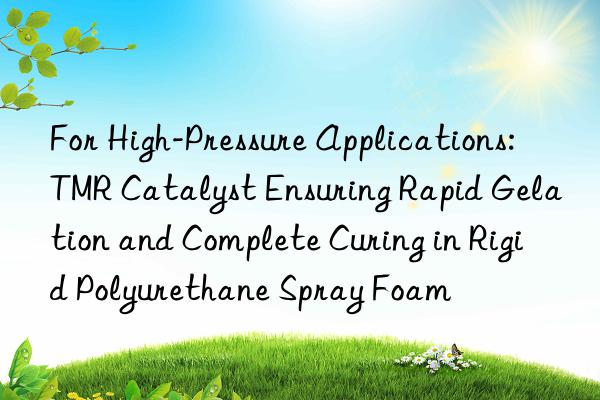 For High-Pressure Applications: TMR Catalyst Ensuring Rapid Gelation and Complete Curing in Rigid Polyurethane Spray Foam