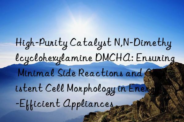 High-Purity Catalyst N,N-Dimethylcyclohexylamine DMCHA: Ensuring Minimal Side Reactions and Consistent Cell Morphology in Energy-Efficient Appliances
