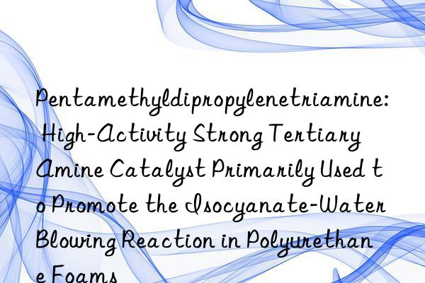 Pentamethyldipropylenetriamine: High-Activity Strong Tertiary Amine Catalyst Primarily Used to Promote the Isocyanate-Water Blowing Reaction in Polyurethane Foams