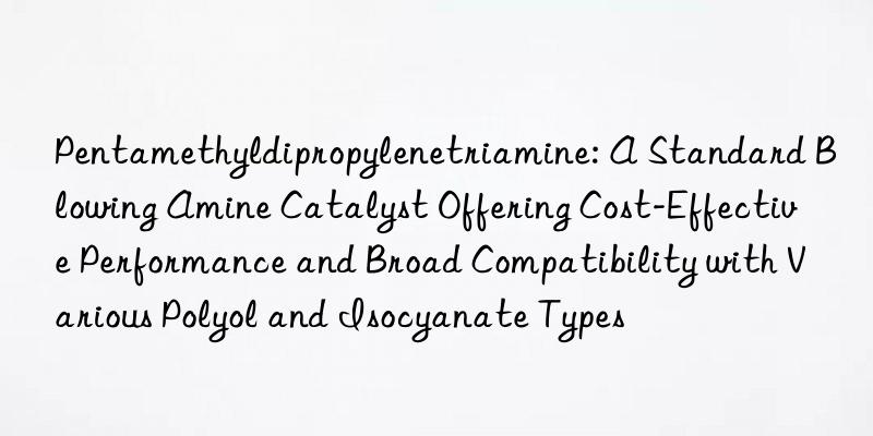 Pentamethyldipropylenetriamine: A Standard Blowing Amine Catalyst Offering Cost-Effective Performance and Broad Compatibility with Various Polyol and Isocyanate Types