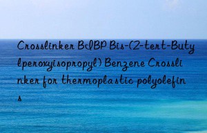 Crosslinker BIBP Bis-(2-tert-Butylperoxyisopropyl) Benzene Crosslinker for thermoplastic polyolefins