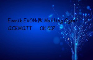 EVONIK Matting Agent ACEMATT® OK 607