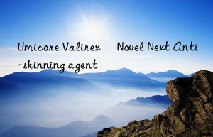 Umicore Valirex® Novel Next Anti-skinning agent