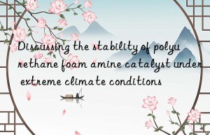 Discussing the stability of polyurethane foam amine catalyst under extreme climate conditions