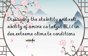 Discussing the stability and reliability of amine catalyst BL11 under extreme climate conditions