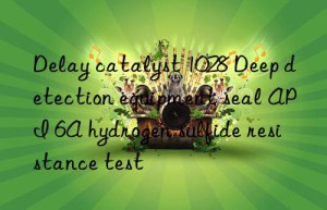 Delay catalyst 1028 Deep detection equipment seal API 6A hydrogen sulfide resistance test