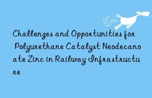 Challenges and Opportunities for Polyurethane Catalyst Neodecanoate Zinc in Railway Infrastructure