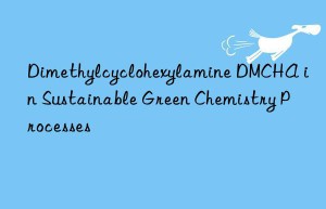 Dimethylcyclohexylamine DMCHA in Sustainable Green Chemistry Processes