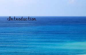 Introduction