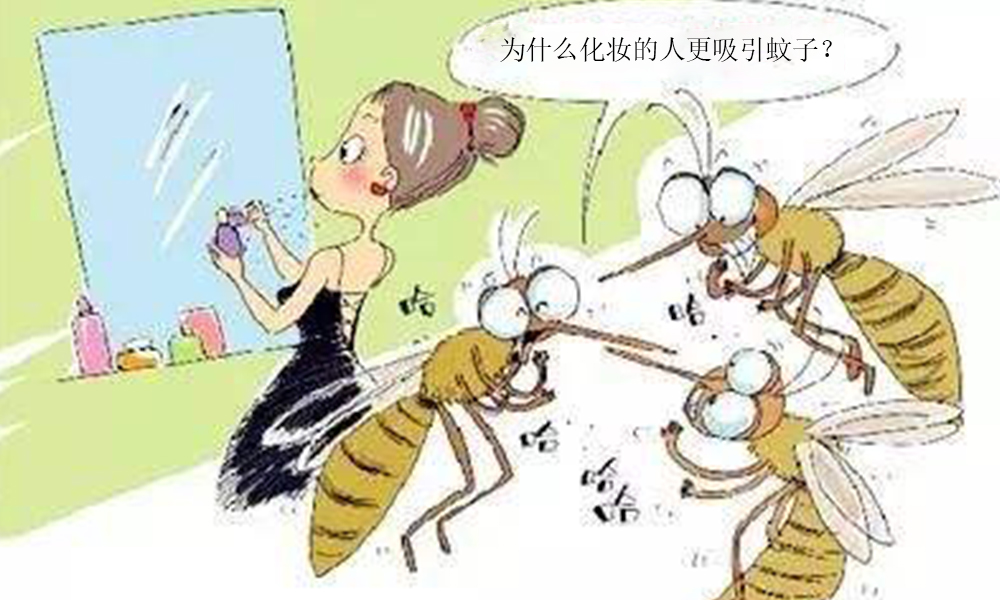 1543974735208925.jpg 2.jpg