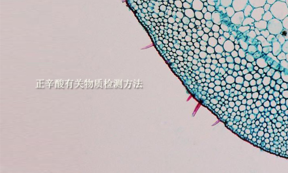 Picture keywords Image keywords