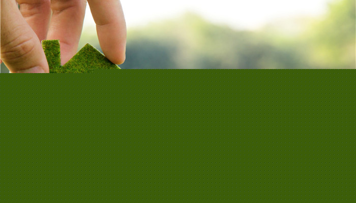 China's renewable hydrocarbon fuels have broad prospects and dominate the export market